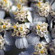 Image for article titled Shooting Challenge Freelensing Gallery 1
